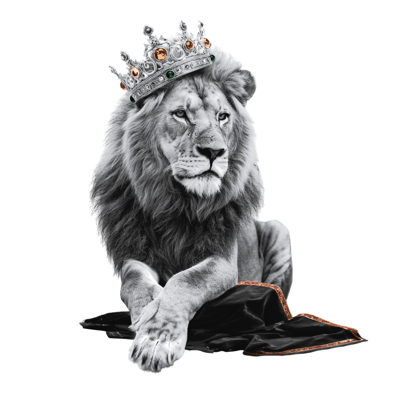 Lion with crown