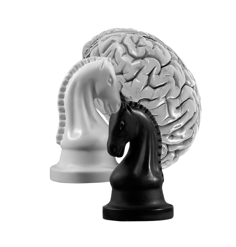 Chess pieces and brains