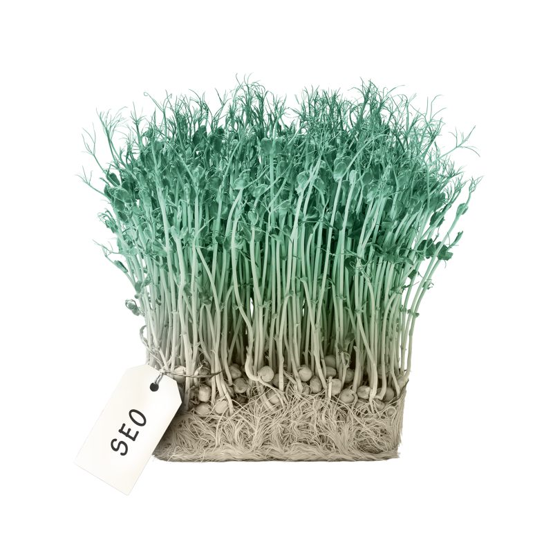Sprouting plants with SEO label