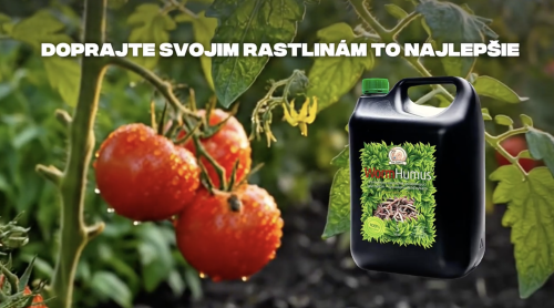 Sample brand promotional video