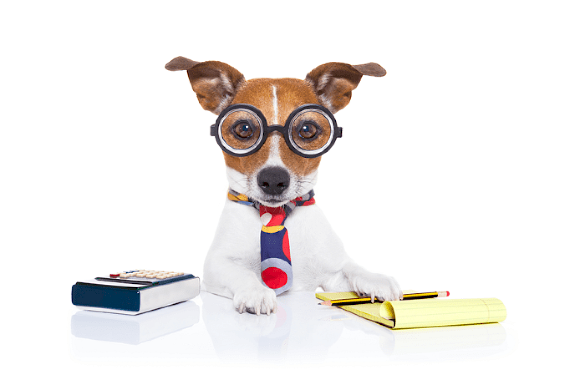 Dog with glasses and notepad