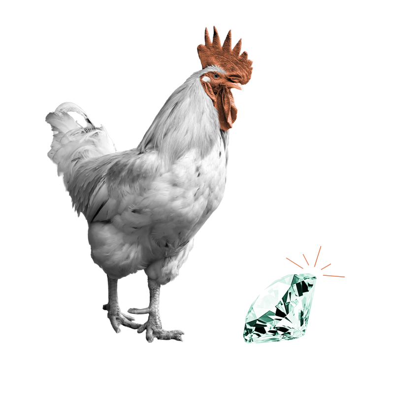 Rooster pecking at a diamond
