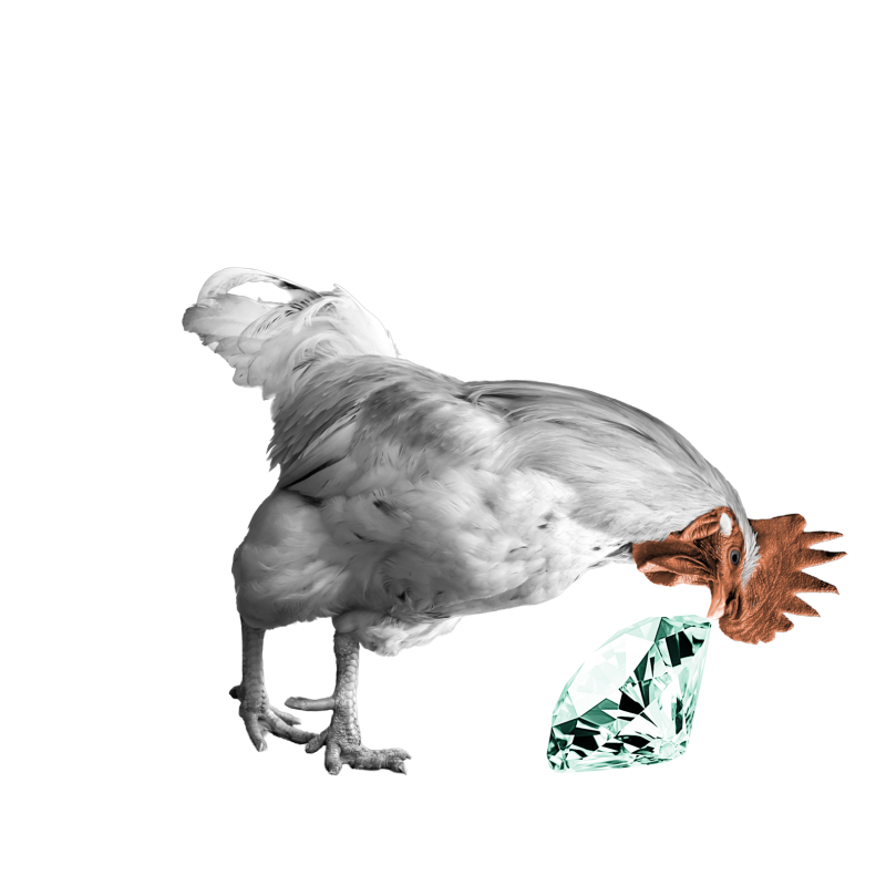 Rooster pecking at a diamond
